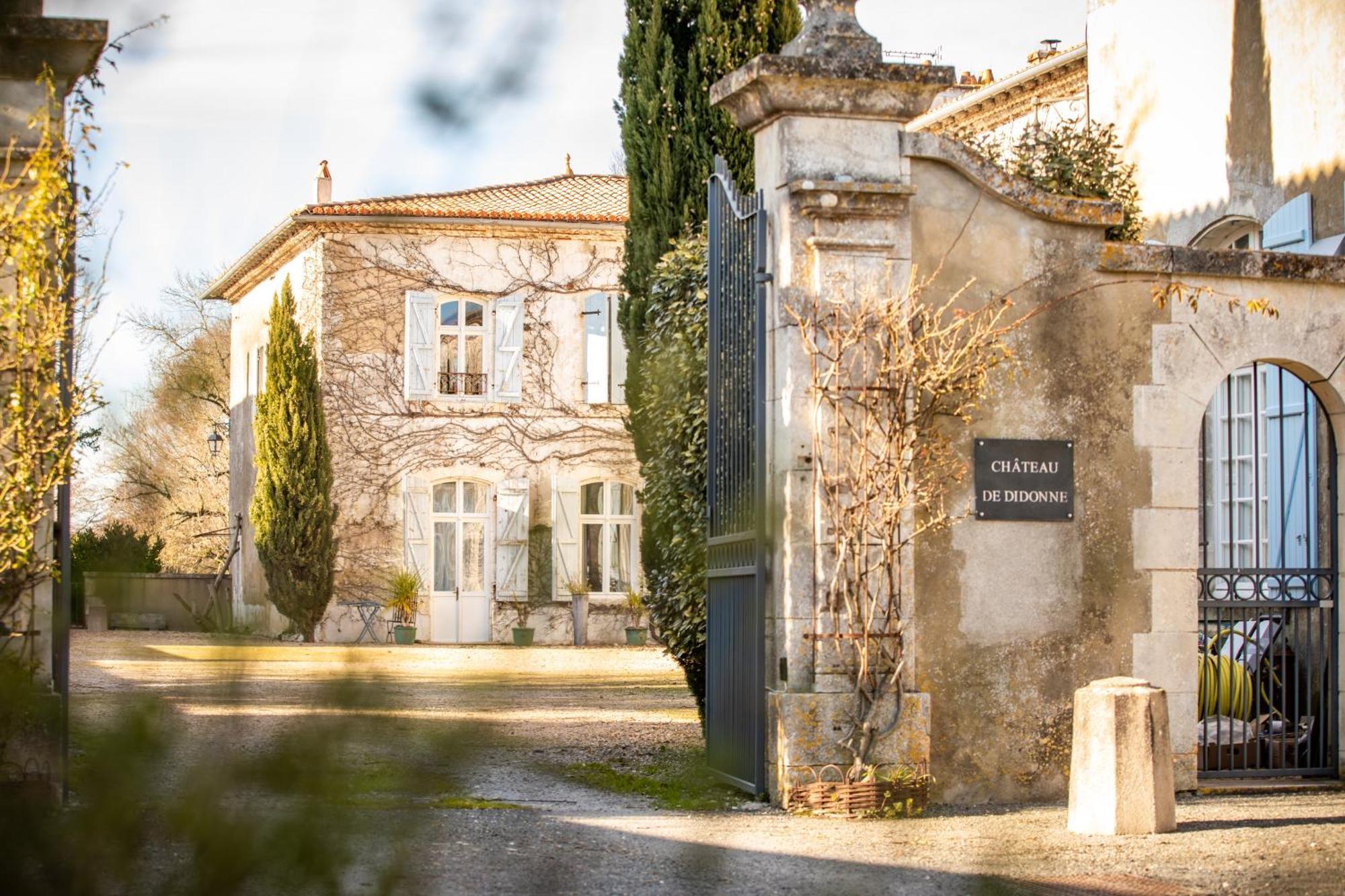 Hotel Chateau De Didonne Semussac Bagian luar foto