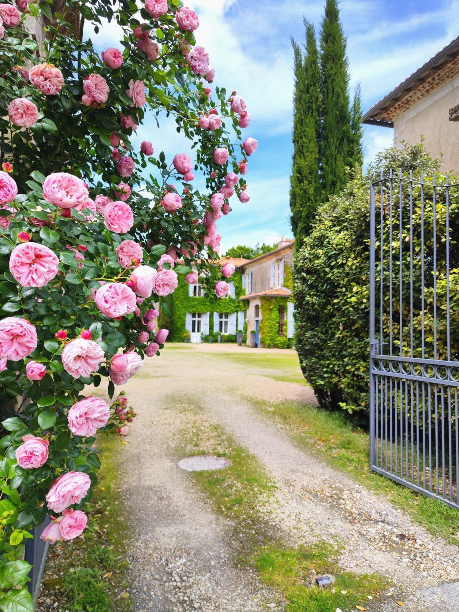 Hotel Chateau De Didonne Semussac Bagian luar foto
